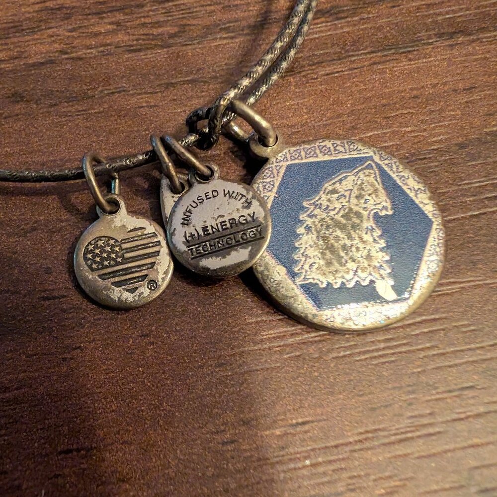 Alex And Ani Game Of Thrones House Stark Bracelet Silver